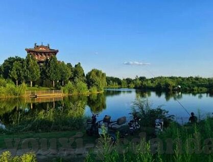 足球比赛比分多选-足球比分多选，一场充满悬念与策略的博弈盛宴