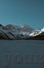 足球直播比分网-足球直播比分网，球迷的数字战场与情感纽带